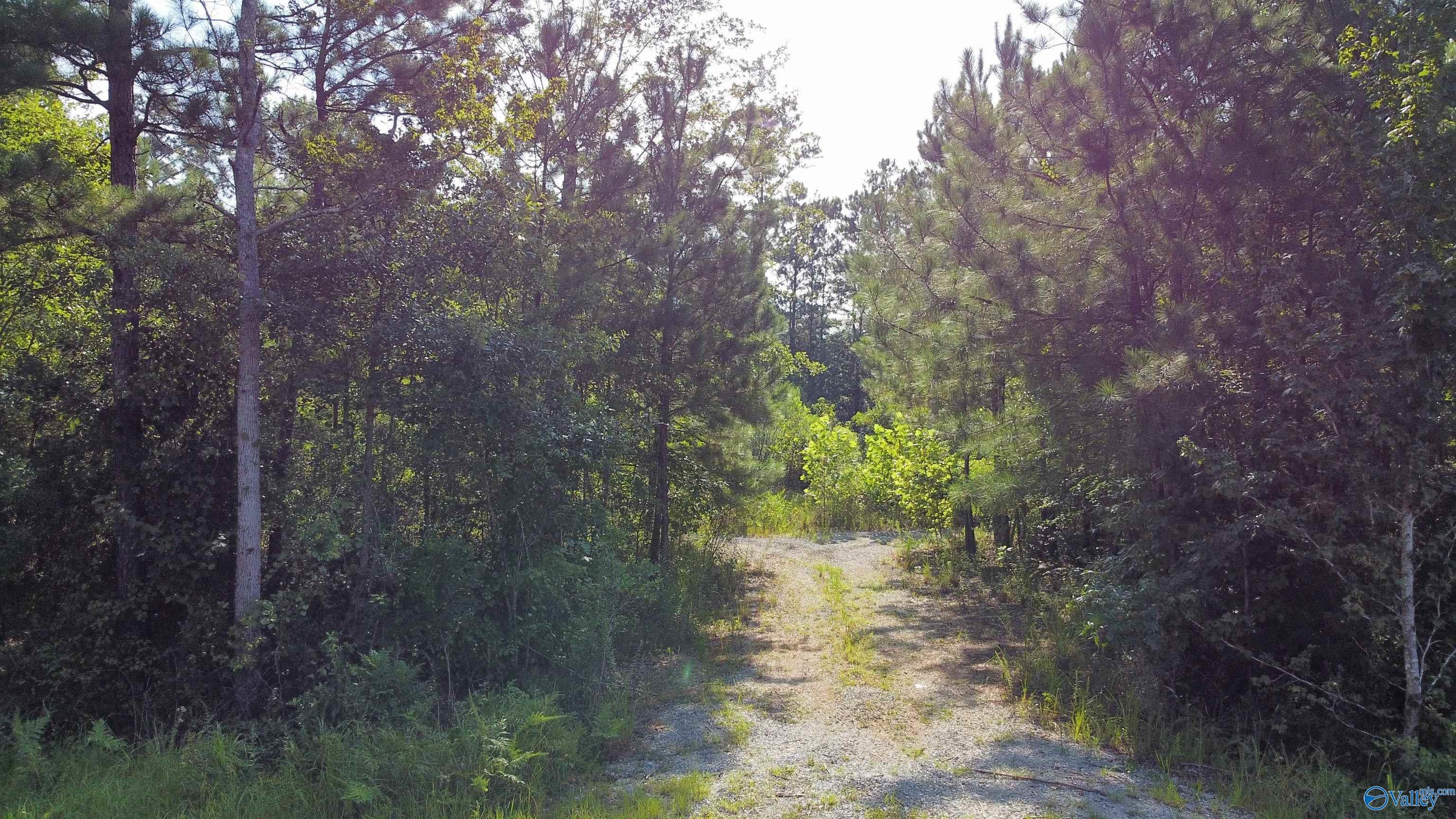 Lot 8 Hiawatha Place  Rainbow City AL 35906 photo