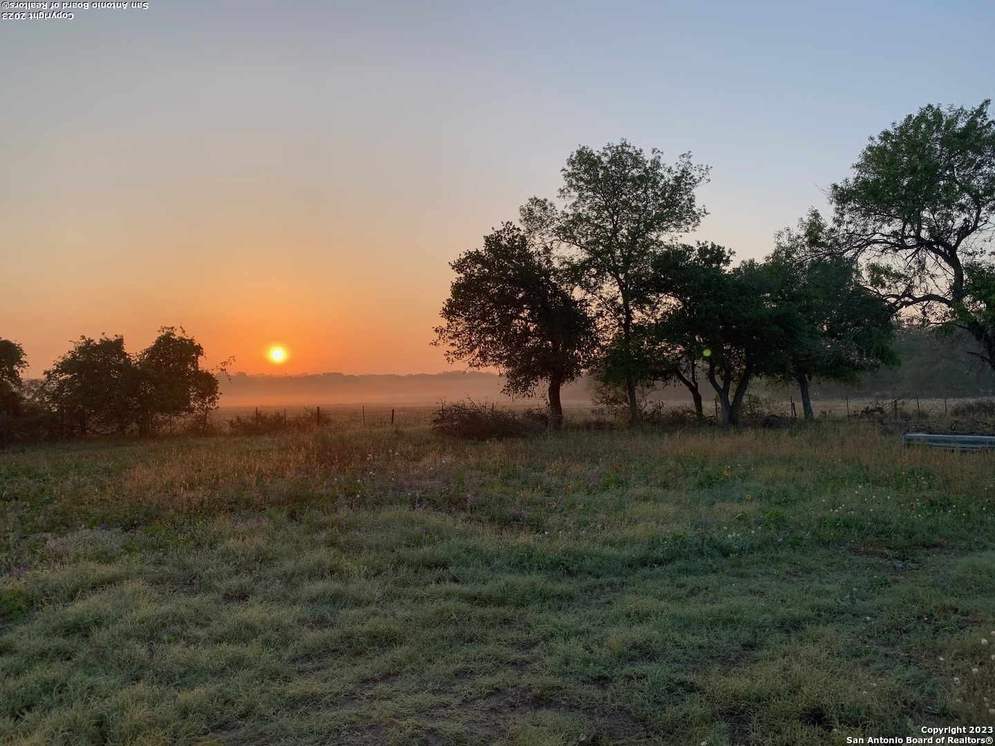 Property Photo: 1248 Palo Alto Dr TX 78073
