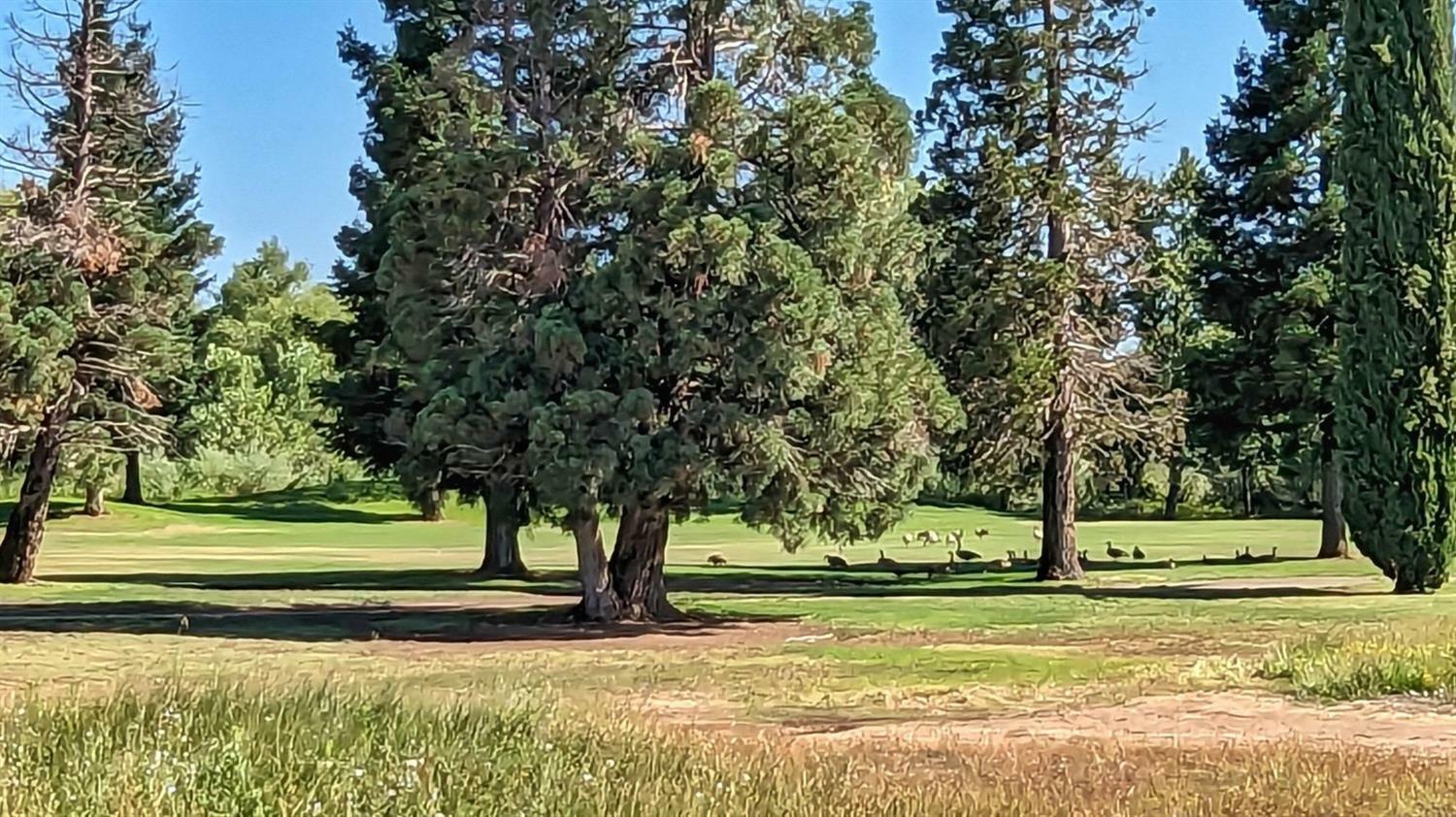 Property Photo: 856 Saint Andrews CA 95252