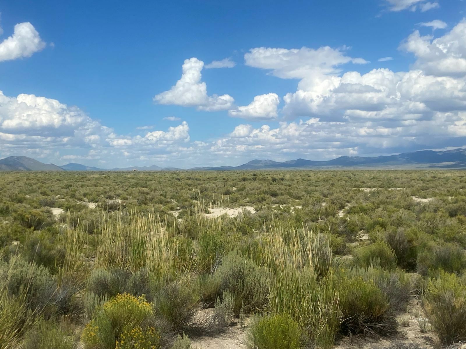 Property Photo:  Tbd South Clover Valley Loop  NV 89835 