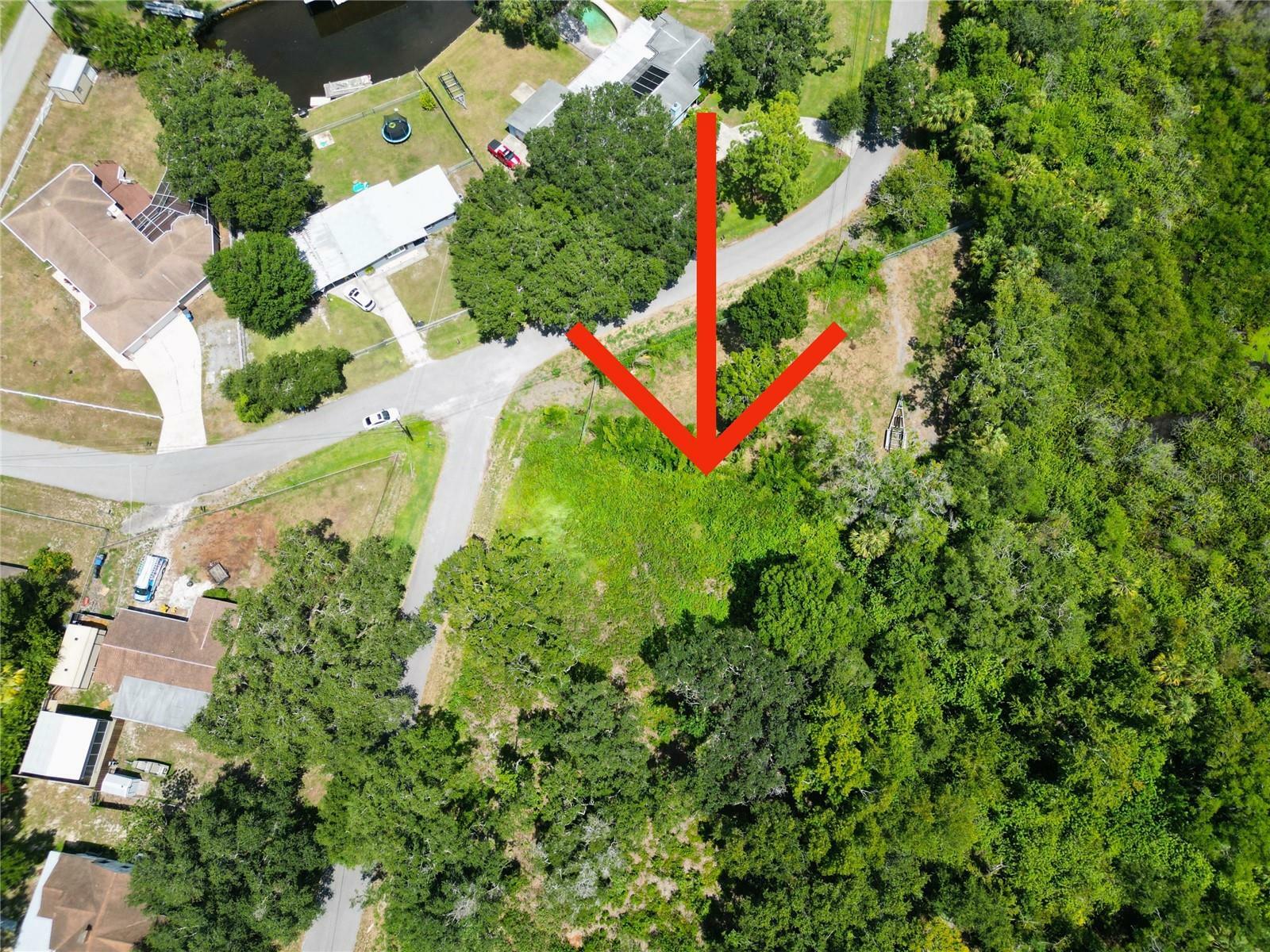 Property Photo:  9938 River Drive  FL 33534 