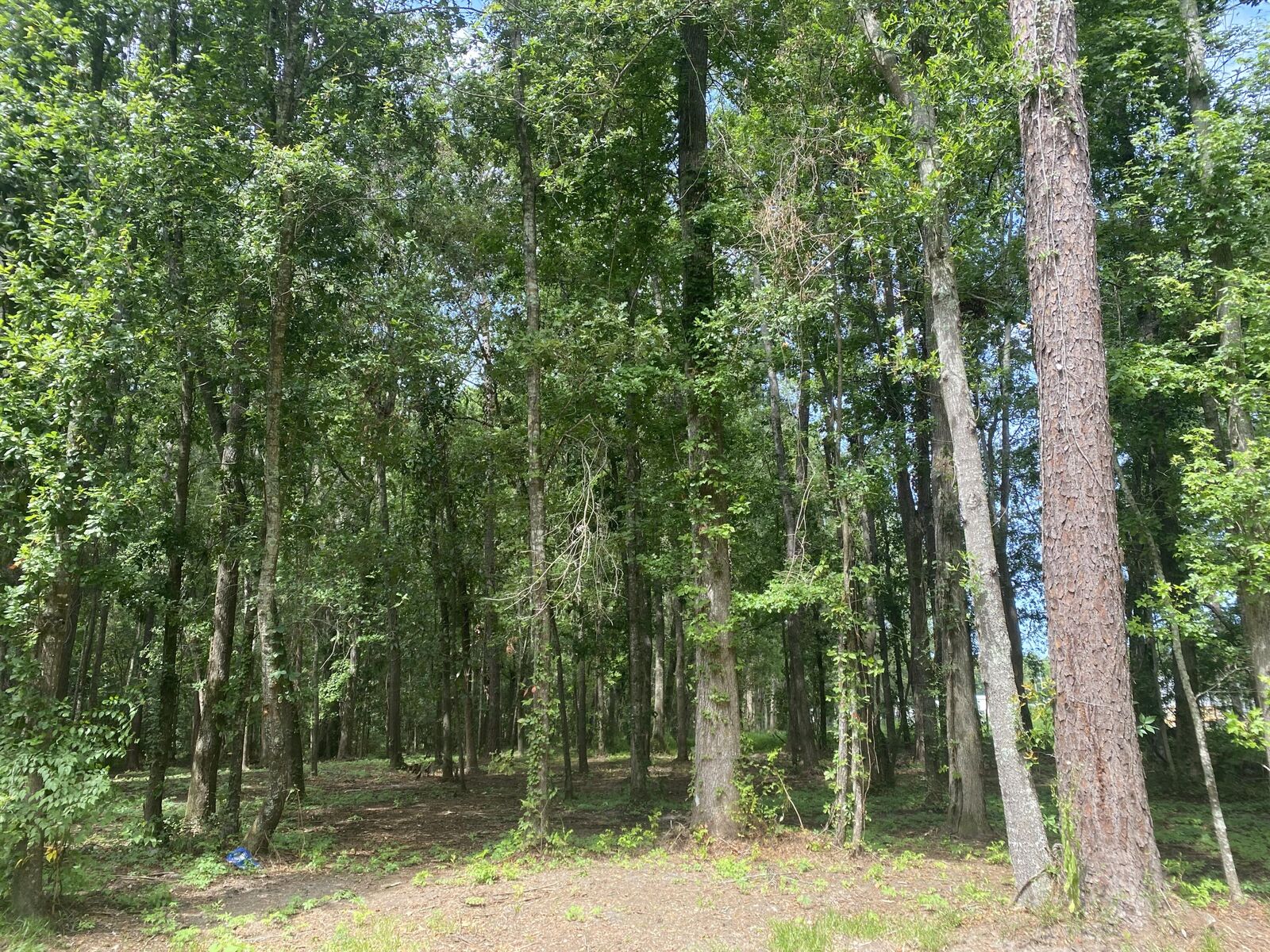 Property Photo:  0 Orbit Lane  SC 29483 