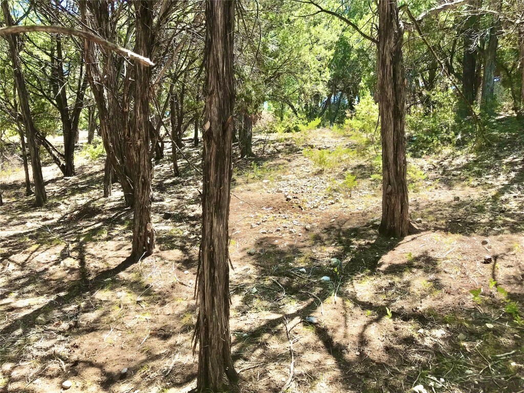 Property Photo: 7205 White Oak Drive TX 78645
