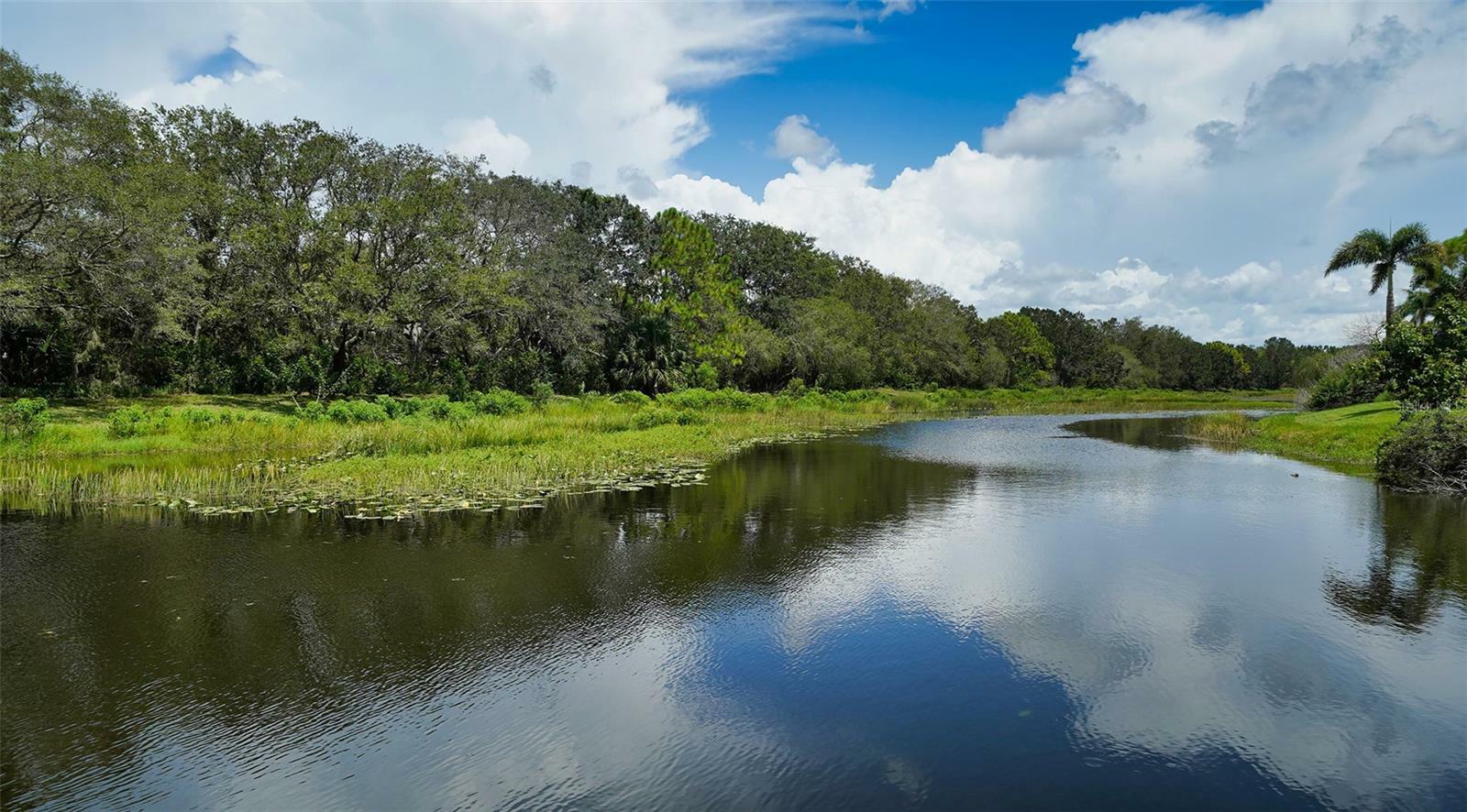 Property Photo: 5124 Ridgelake Place FL 34238