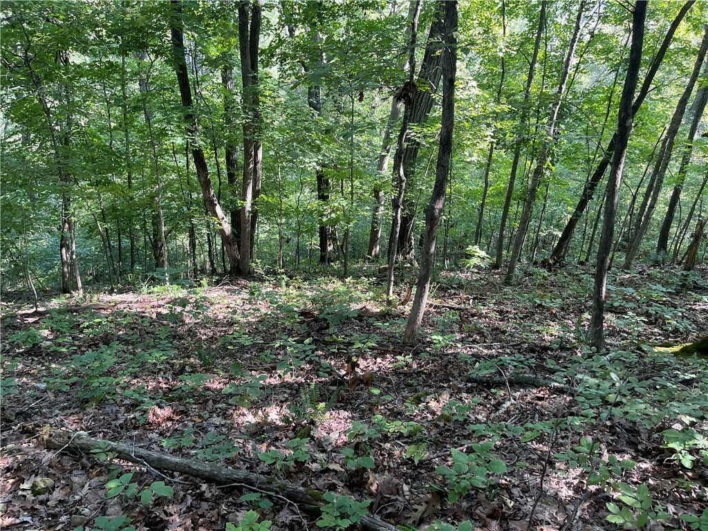 Property Photo:  Tbd Clover Lane  AR 72756 