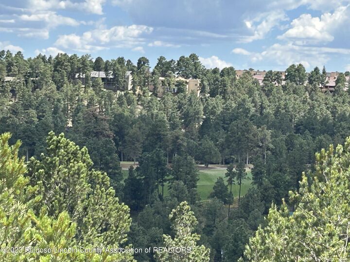 102 Promontory  Alto NM 88312 photo