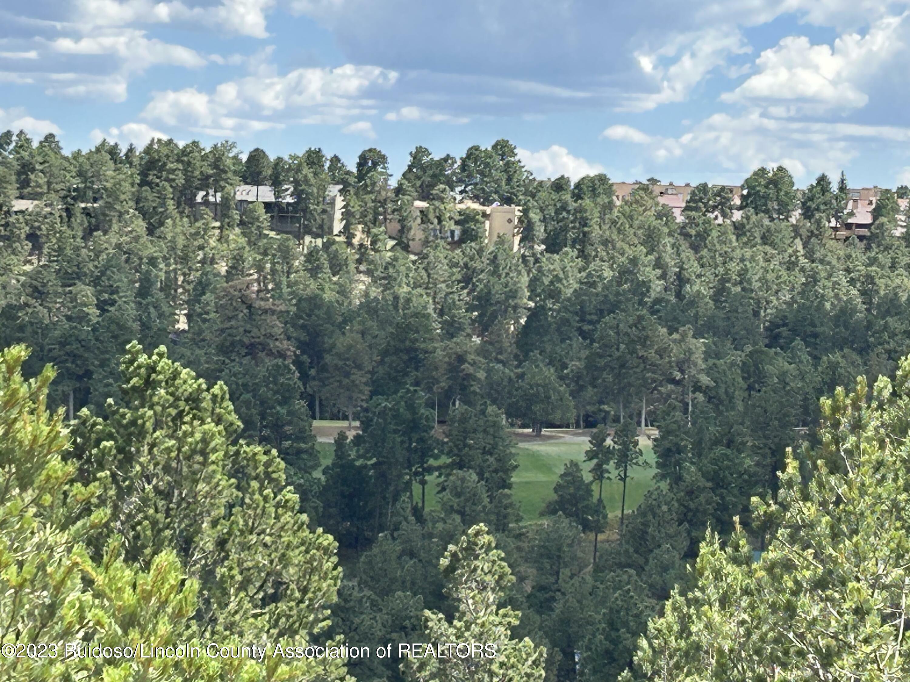 Property Photo:  102 Promontory  NM 88312 