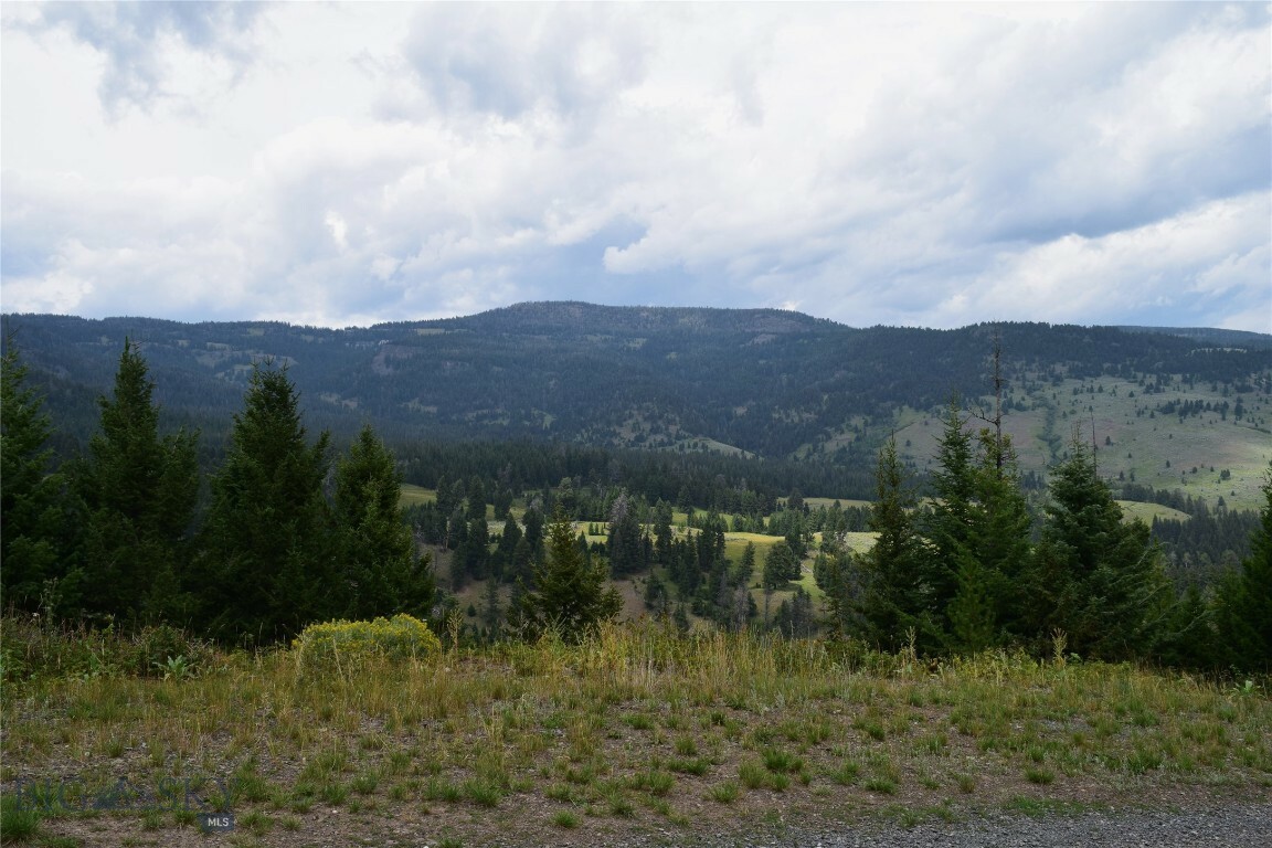 Property Photo:  Tbd Packsaddle  MT 59027 