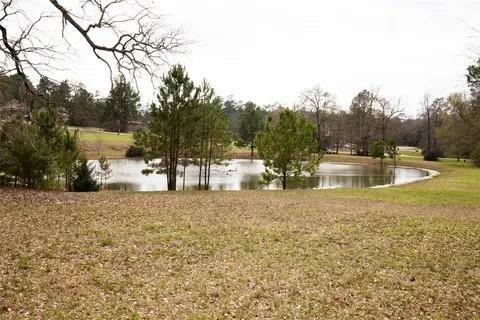 Property Photo:  135 N Forest Drive  TX 77340 