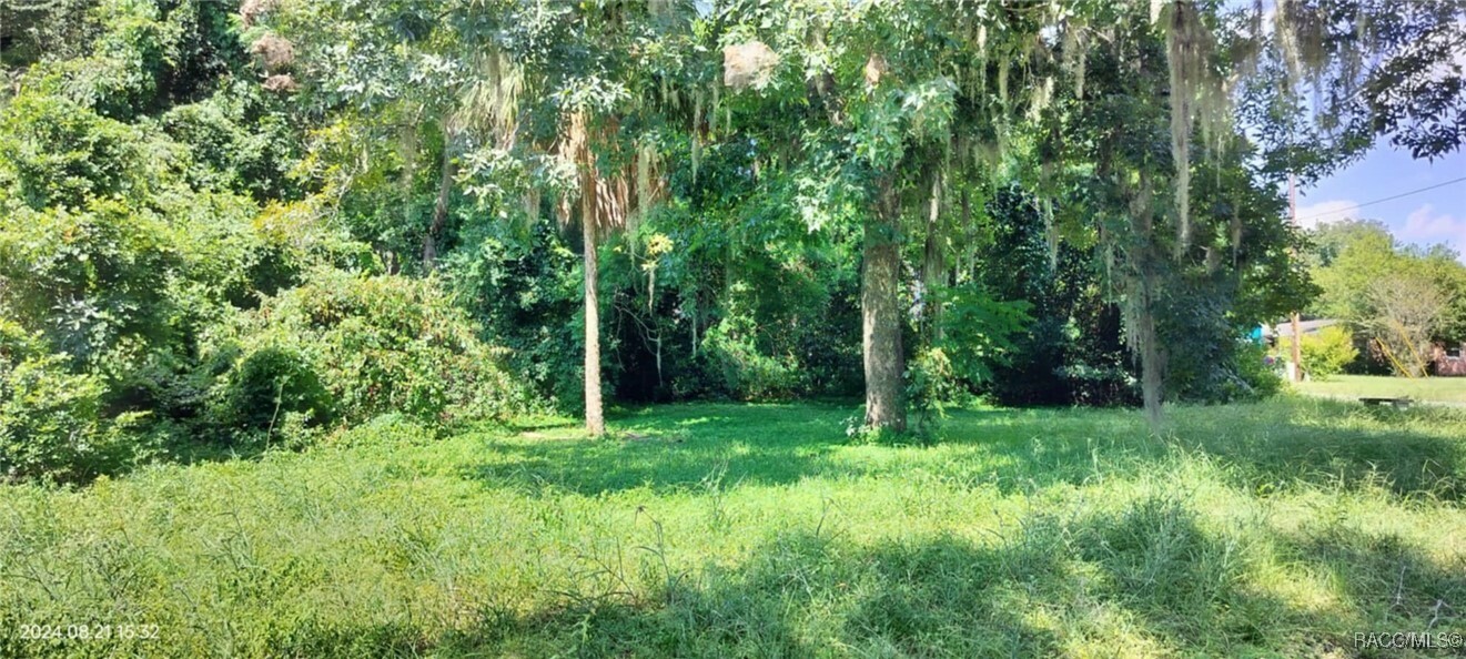 1980 S Tsala Terrace  Inverness FL 34450 photo