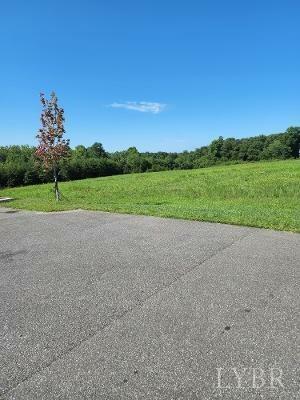 Property Photo:  0 Smith  Mountain Lake Parkway  VA 24104 