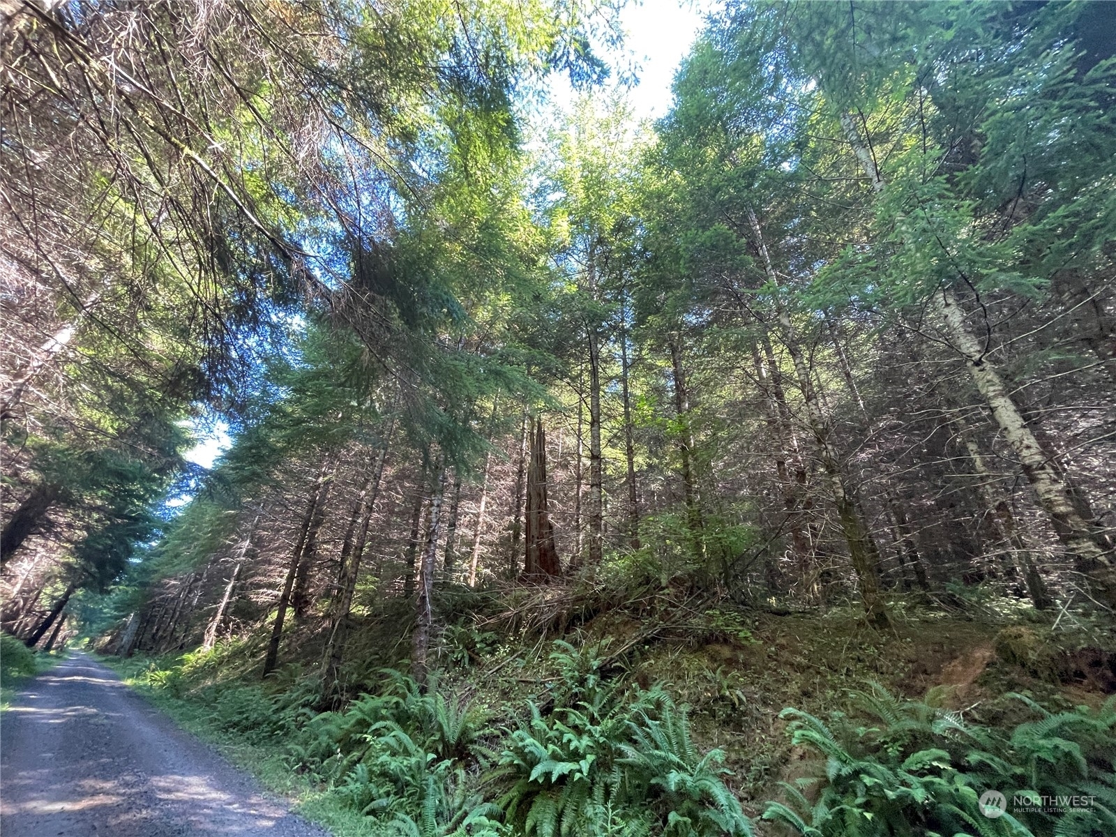 Property Photo: 0 Wiest Road WA 98632