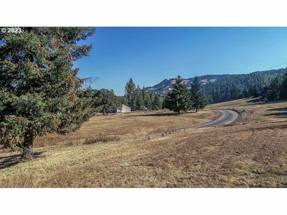 Lot 18 Husum Greens  White Salmon WA 98672 photo