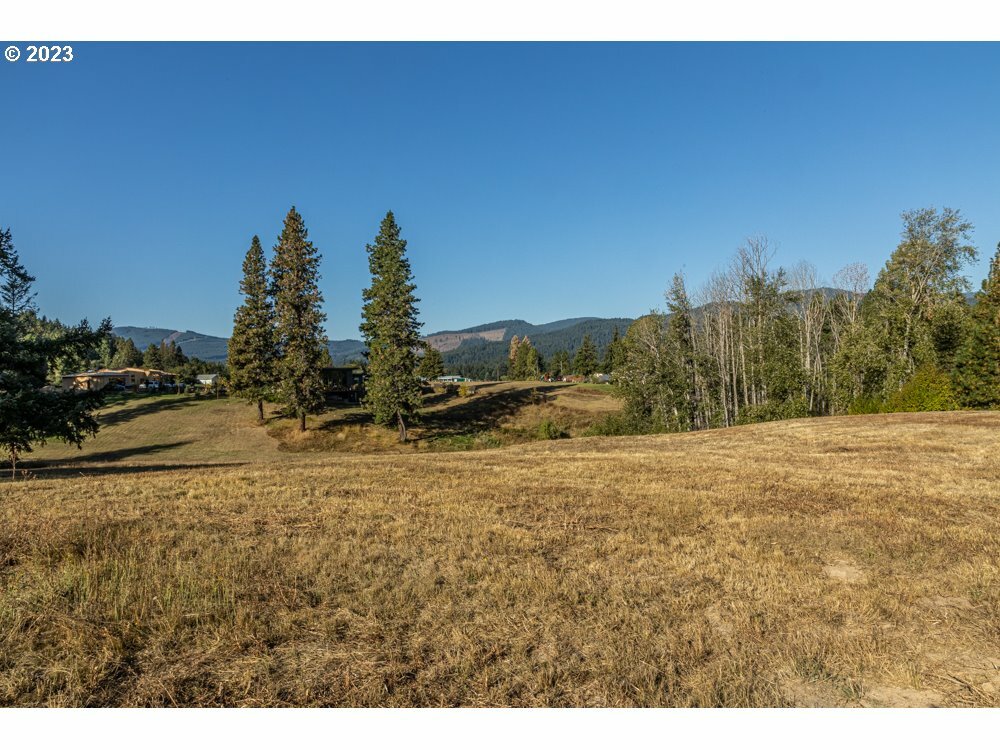 Lot 25 Husum Greens  White Salmon WA 98672 photo