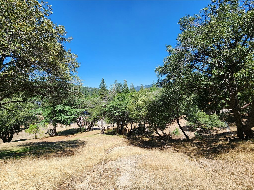 Property Photo:  24021 Bowl Road  CA 92325 