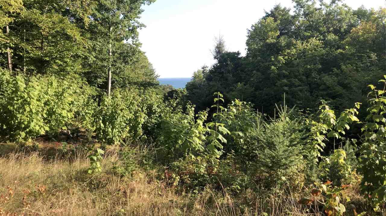 Property Photo:  6085 White Pine  MI 49740 