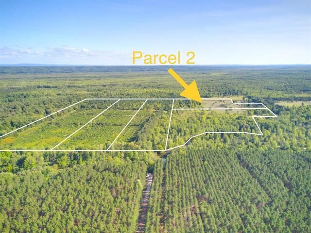 Parcel 2 S Reynolds  Colfax Twp MI 49683 photo