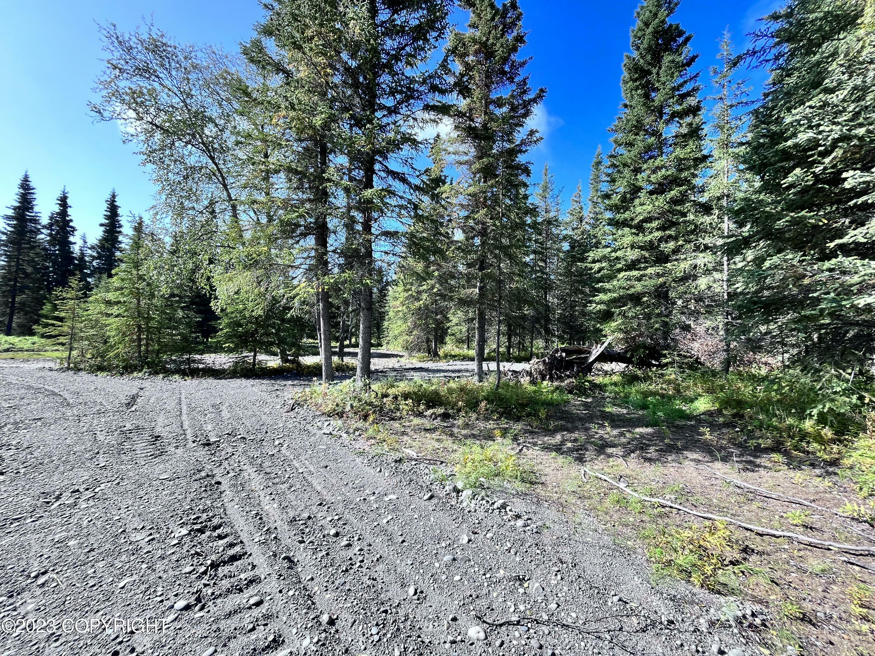 15690 Wild Salmon Way  Ninilchik AK 99639 photo