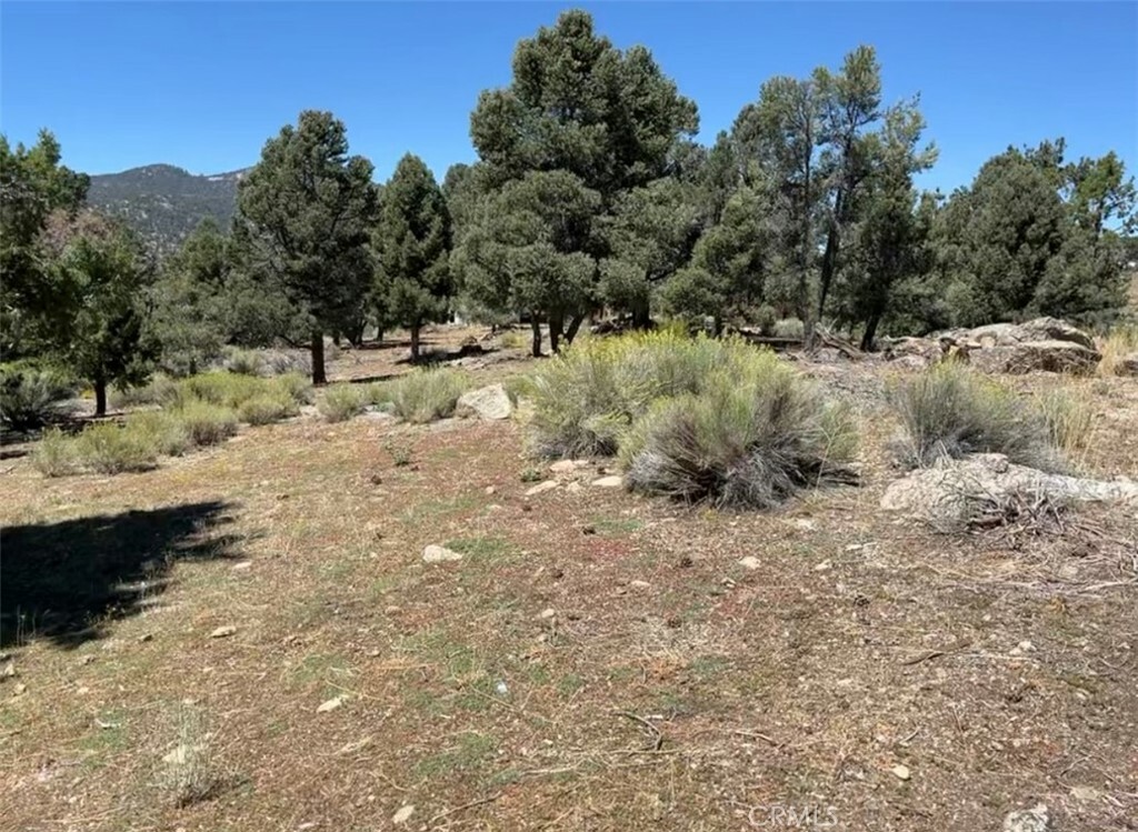 0 Golden Rod  Big Bear City CA 92314 photo