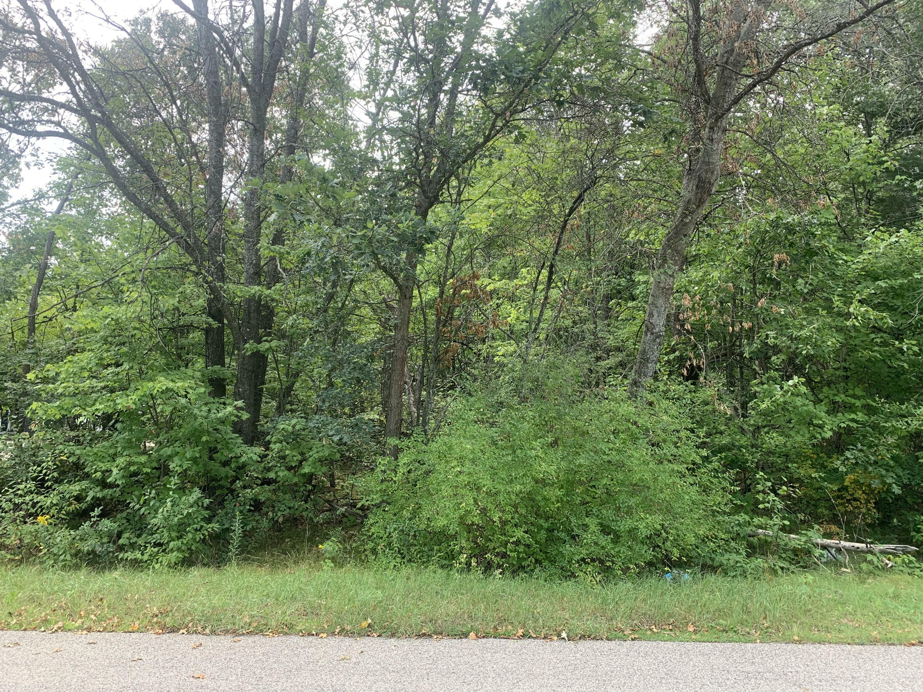 Lot#286 Whitebirch Drive  Houghton Lake MI 48629 photo