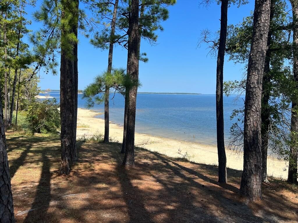 Property Photo:  420 Sparkleberry Dr.  TX 75931 