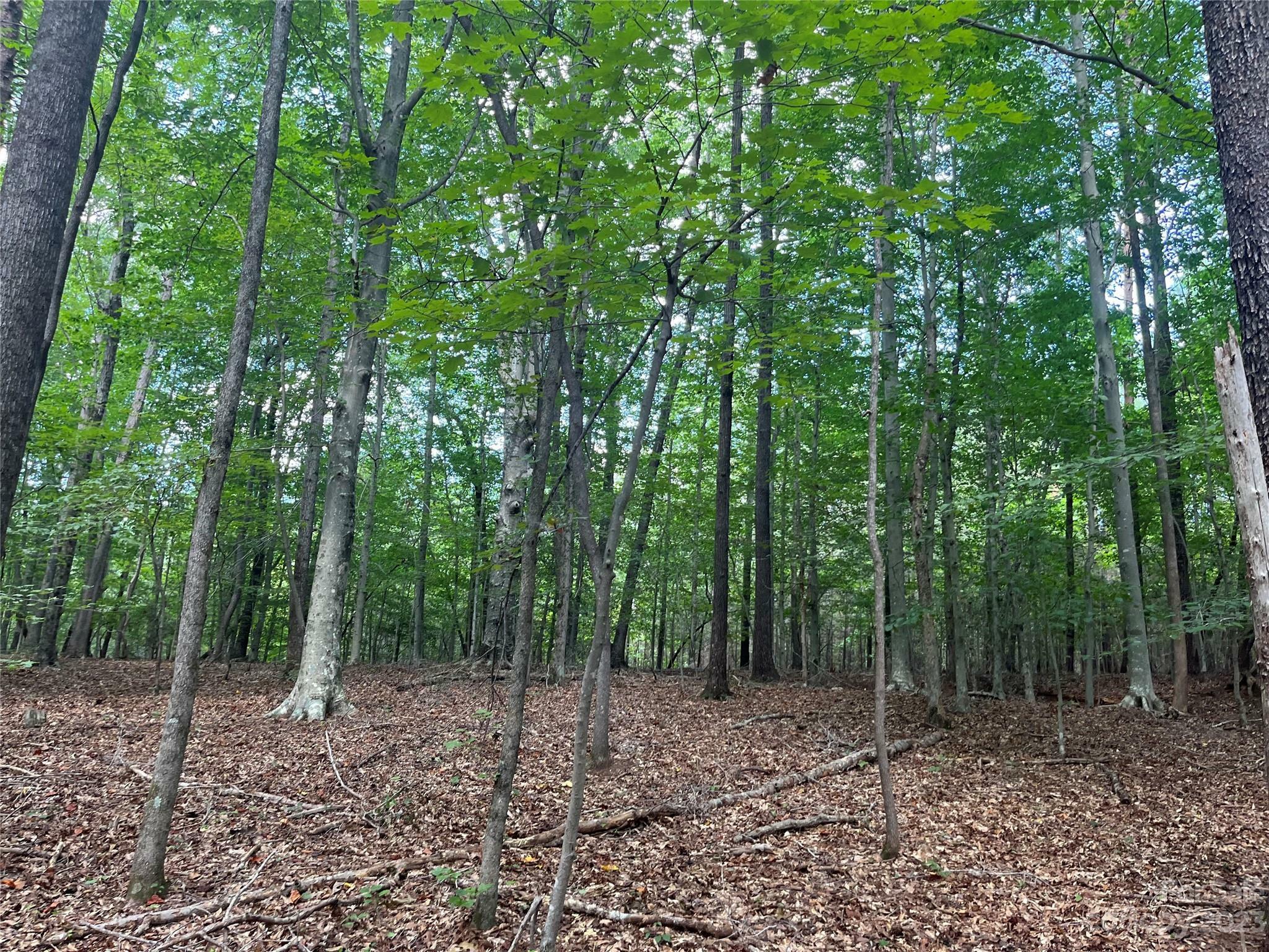 Property Photo:  0 Fox Mountain Road 9  NC 28722 