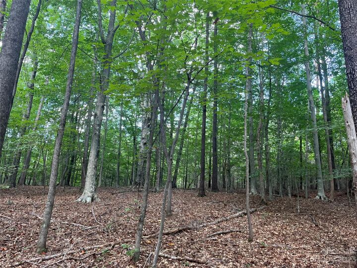 Property Photo:  0 Fox Mountain Road 9  NC 28722 