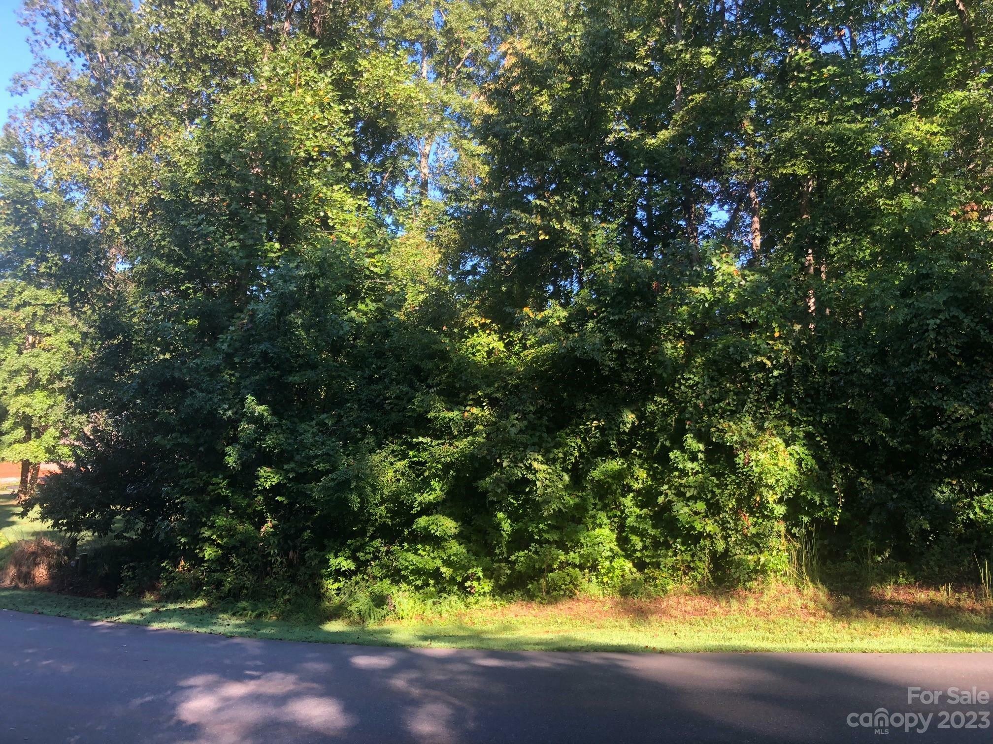 Property Photo:  Lot 16 Draper Drive  NC 28625 