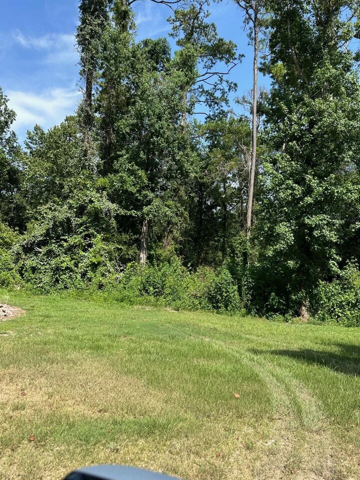 Property Photo:  95 Rene Or Cr 443 Street  TX 77535 