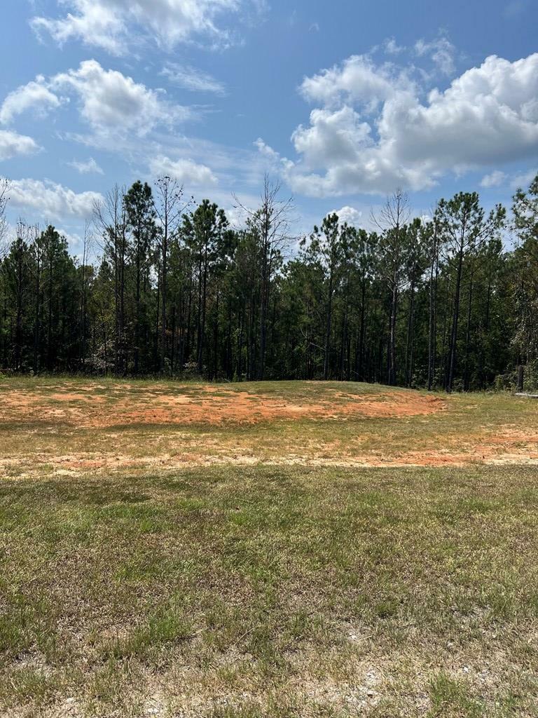 Property Photo: 131 Pine Hill Road GA 31805