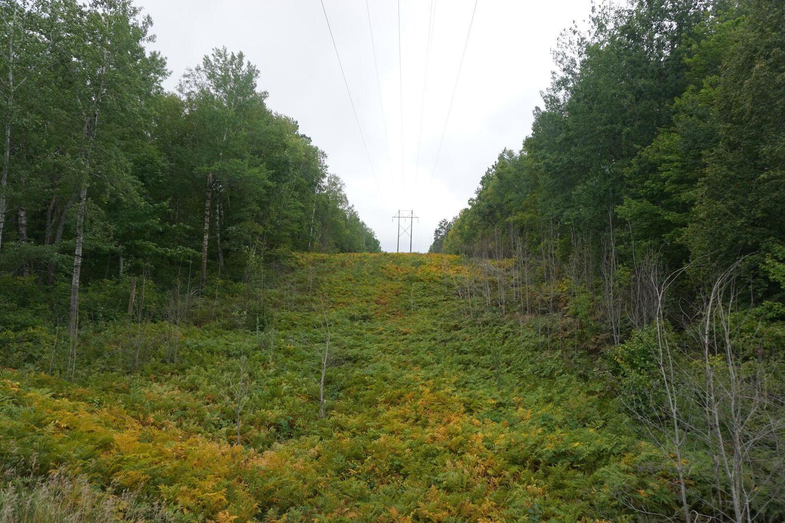 Property Photo:  Tbd County 5 Road  MN 55718 