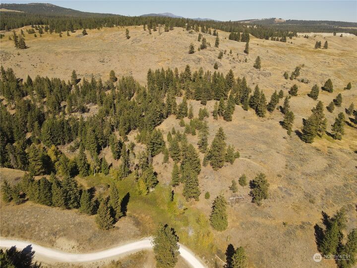 Property Photo:  0 Tbd Blue Grouse Road  WA 98844 