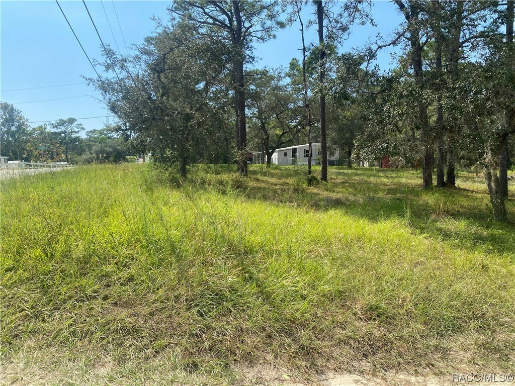 Property Photo:  4857 W Oaklawn Street  FL 34446 