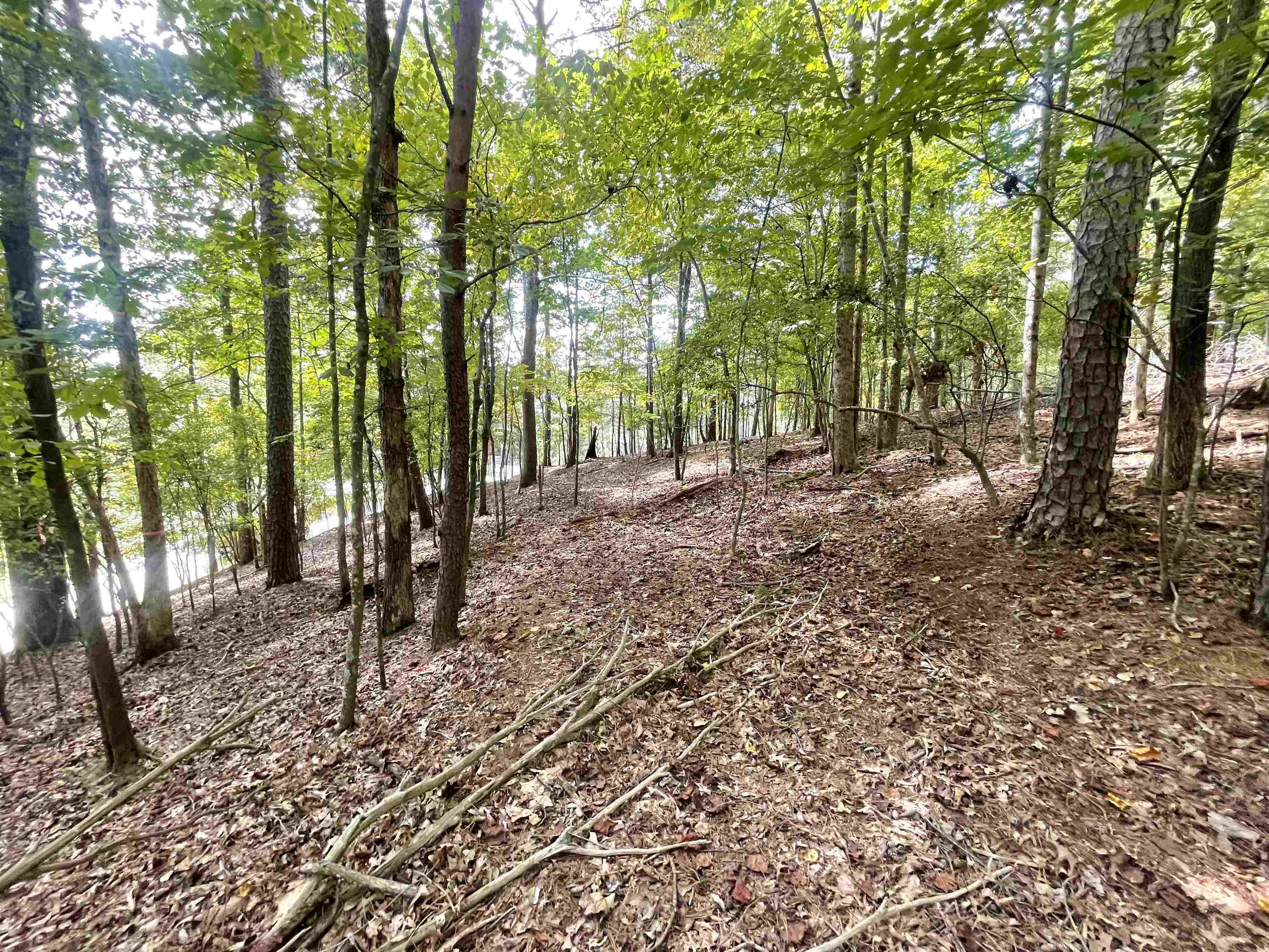 Property Photo: Lot 1272 Fleur Lane GA 30540