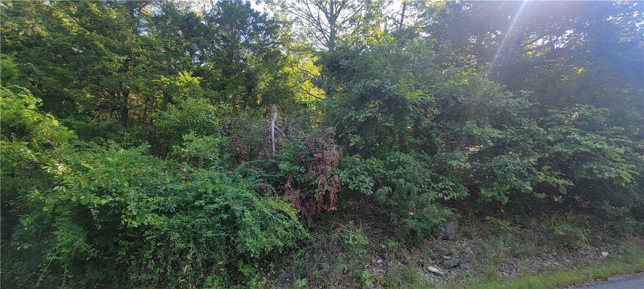 Property Photo: 52 Park Lane AR 72631