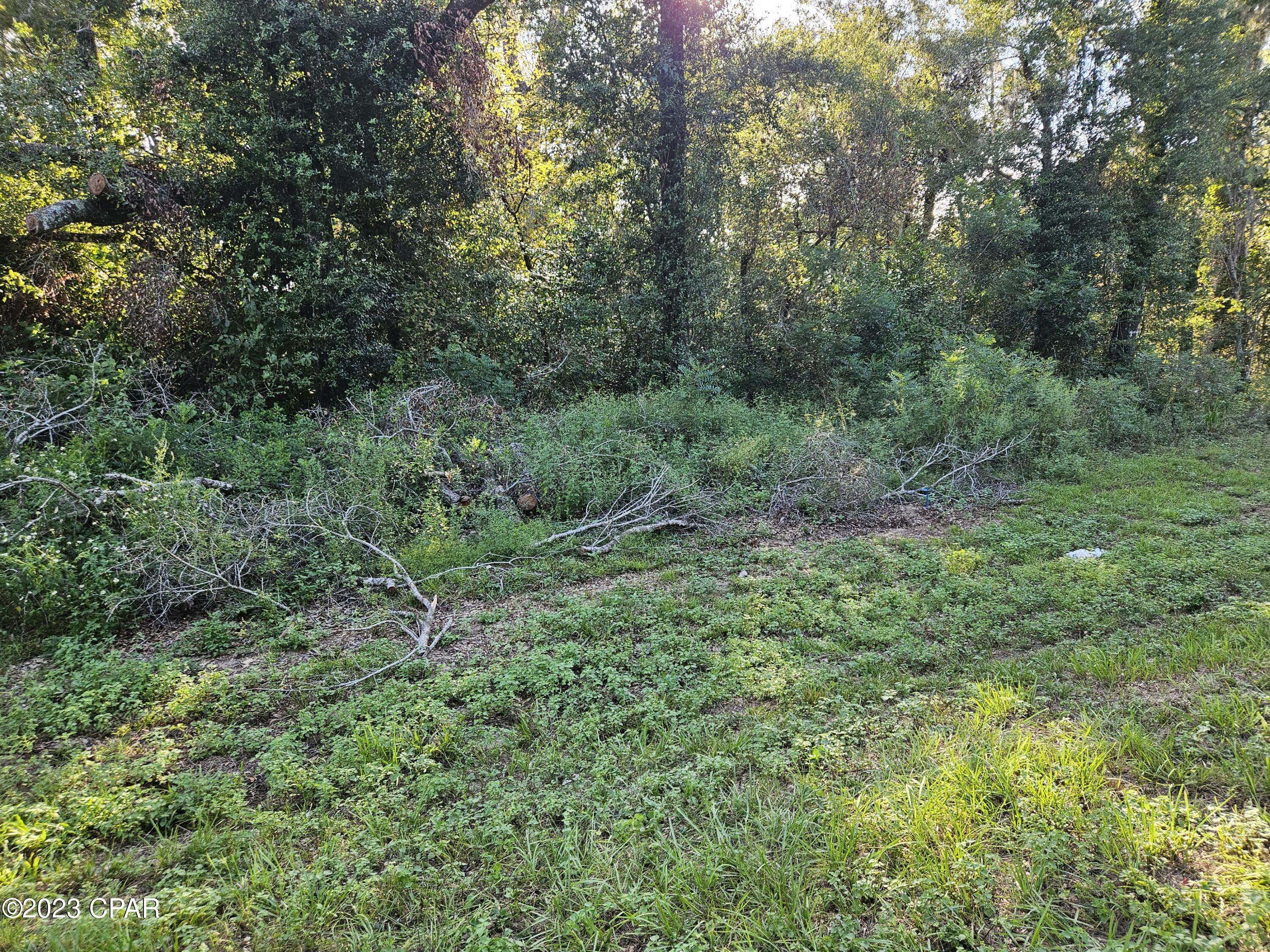 Property Photo:  0000 Fanning Branch Road  FL 32462 