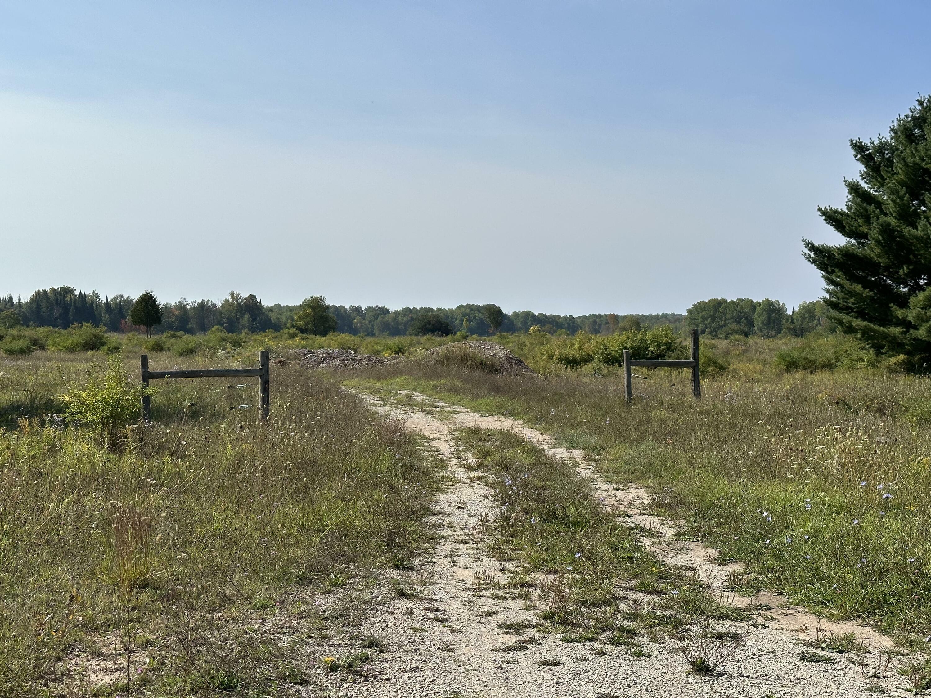 Property Photo:  Twin School Highway 40 Acres  MI 49765 