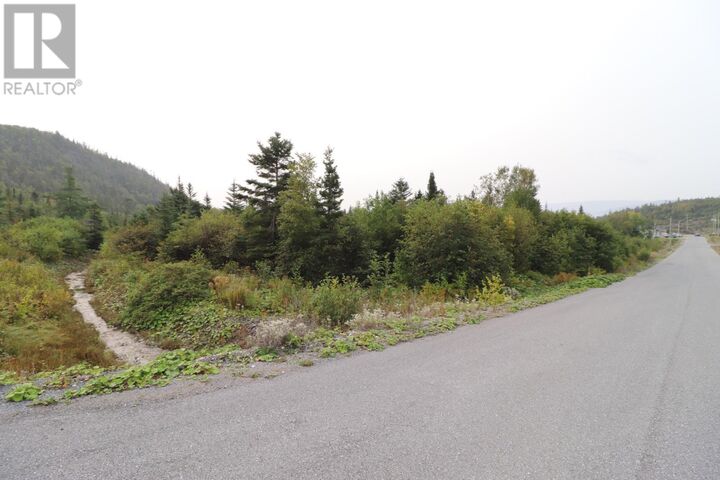 Property Photo:  22 Hollands Memorial Drive  NL A0K 3V0 