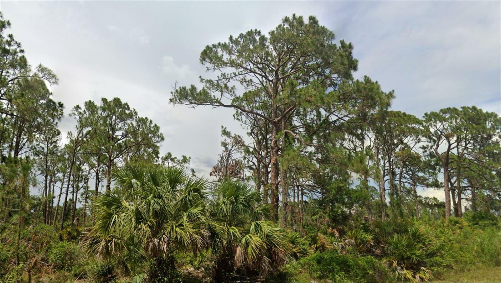 Property Photo:  13498 Fairbanks Avenue  FL 33953 