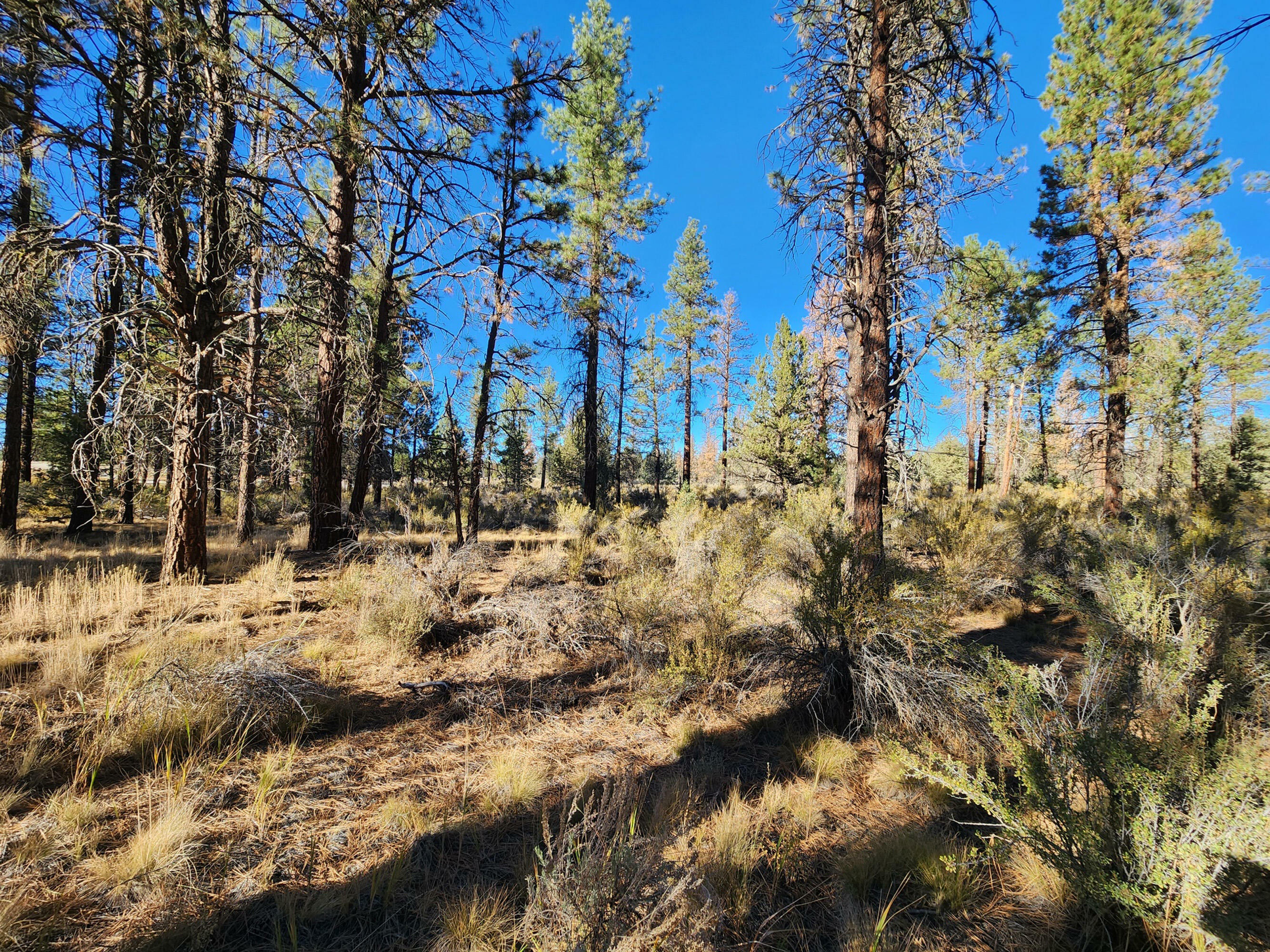 Property Photo:  Lot 5 Arrowhead Lane  OR 97639 