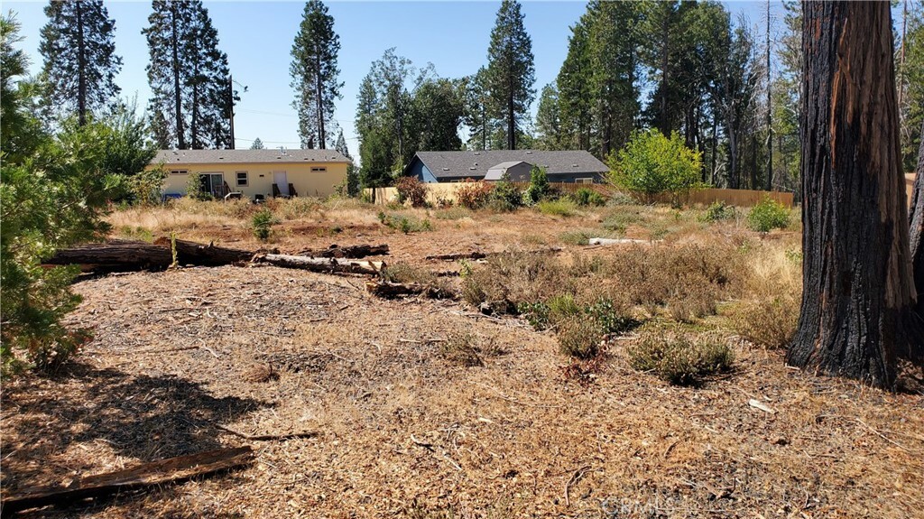 Property Photo:  6282 Brevard Circle  CA 95954 