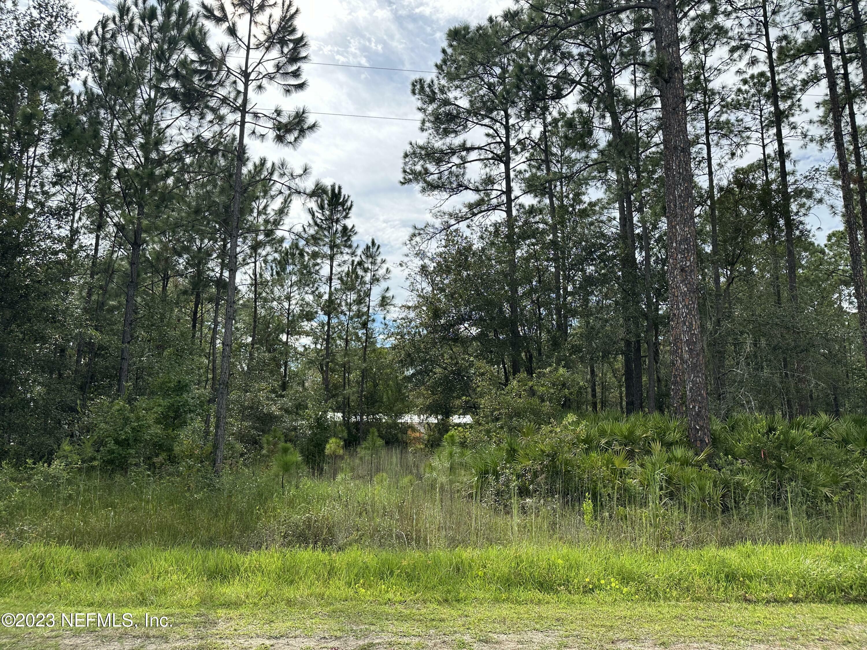 109 Cobia Drive  Palatka FL 32177 photo