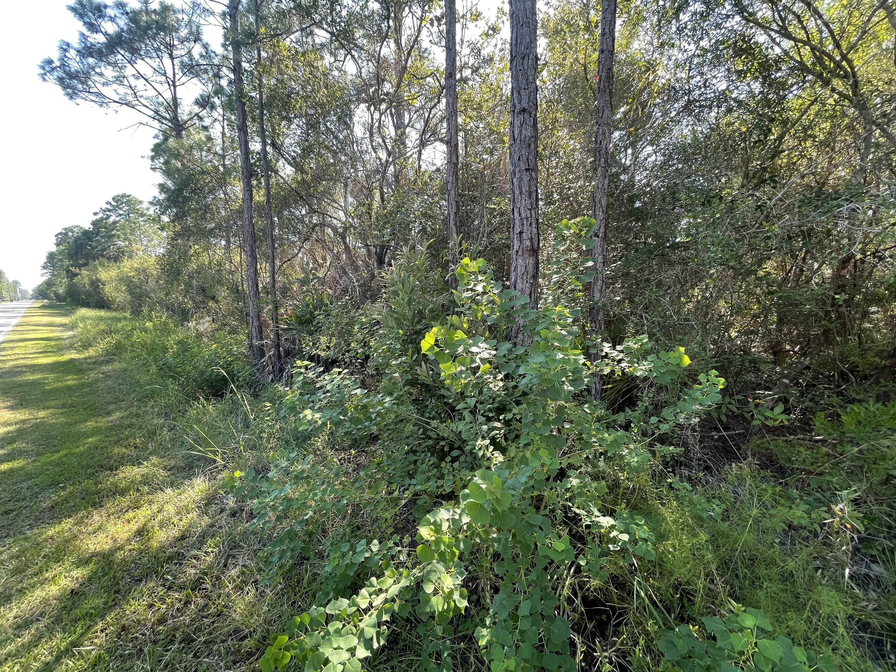 Property Photo:  Lot 1 Blk A Exclusive Bch On Don Bishop Road  FL 32459 