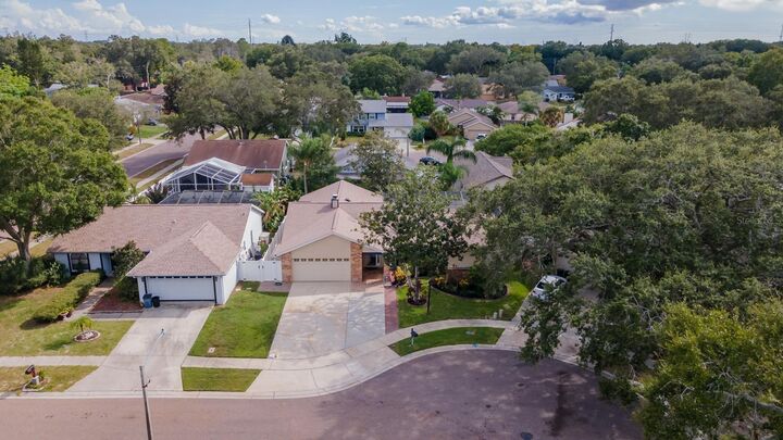 Property Photo:  2628 Sunridge Circle  FL 34684 