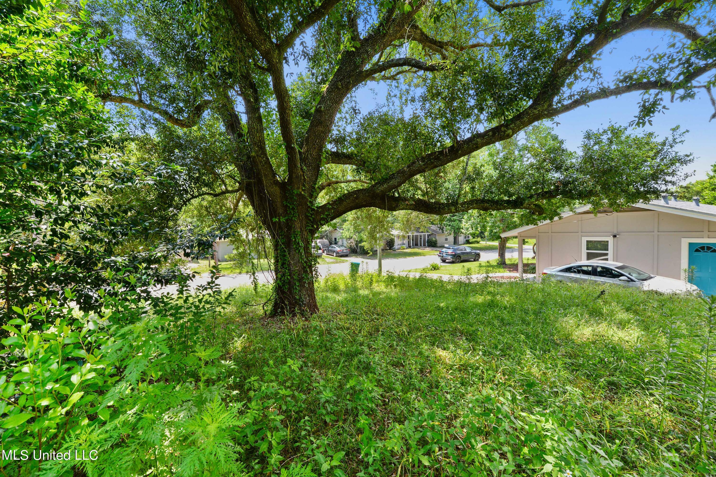 2908 Pineland Drive  Gulfport MS 39501 photo