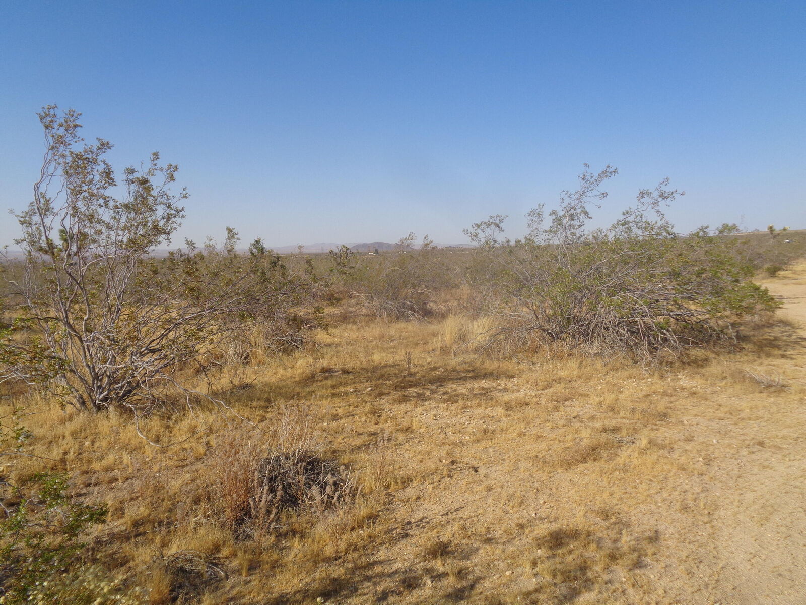 Property Photo: 130th E Ave. R14 CA 93543