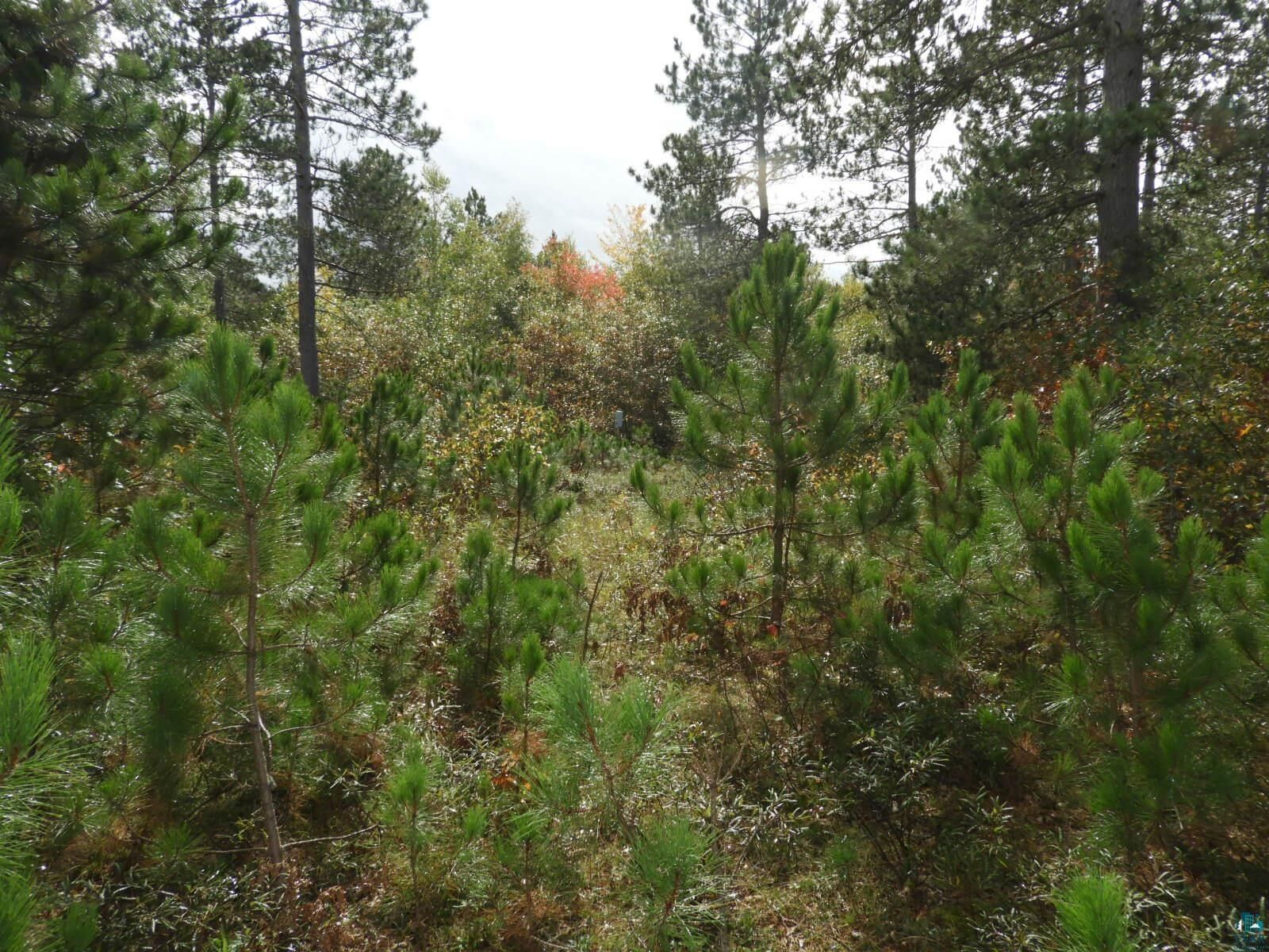 Property Photo:  1765 E Wilderness Ct  WI 54873 