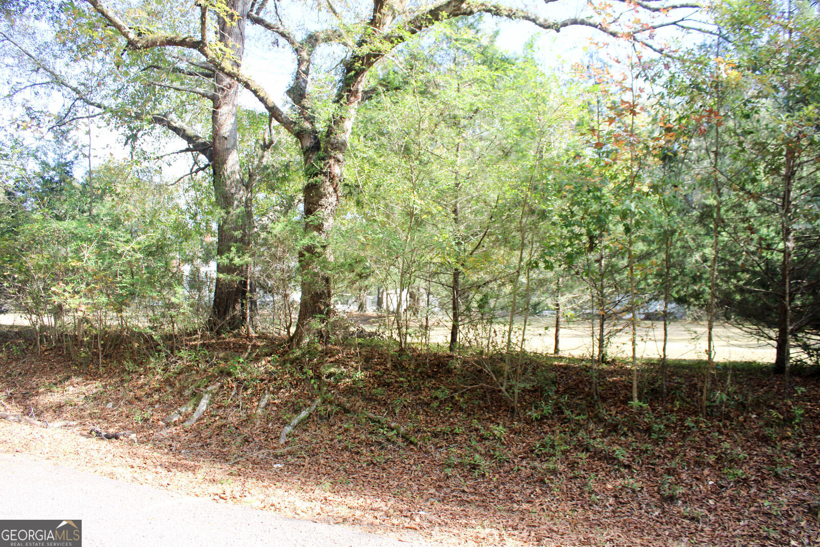 Property Photo:  777 Odessa Road  GA 30222 