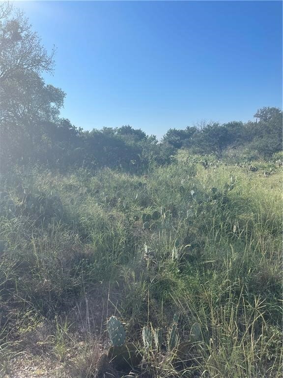 Property Photo:  Lot 126 Front Street  TX 78611 