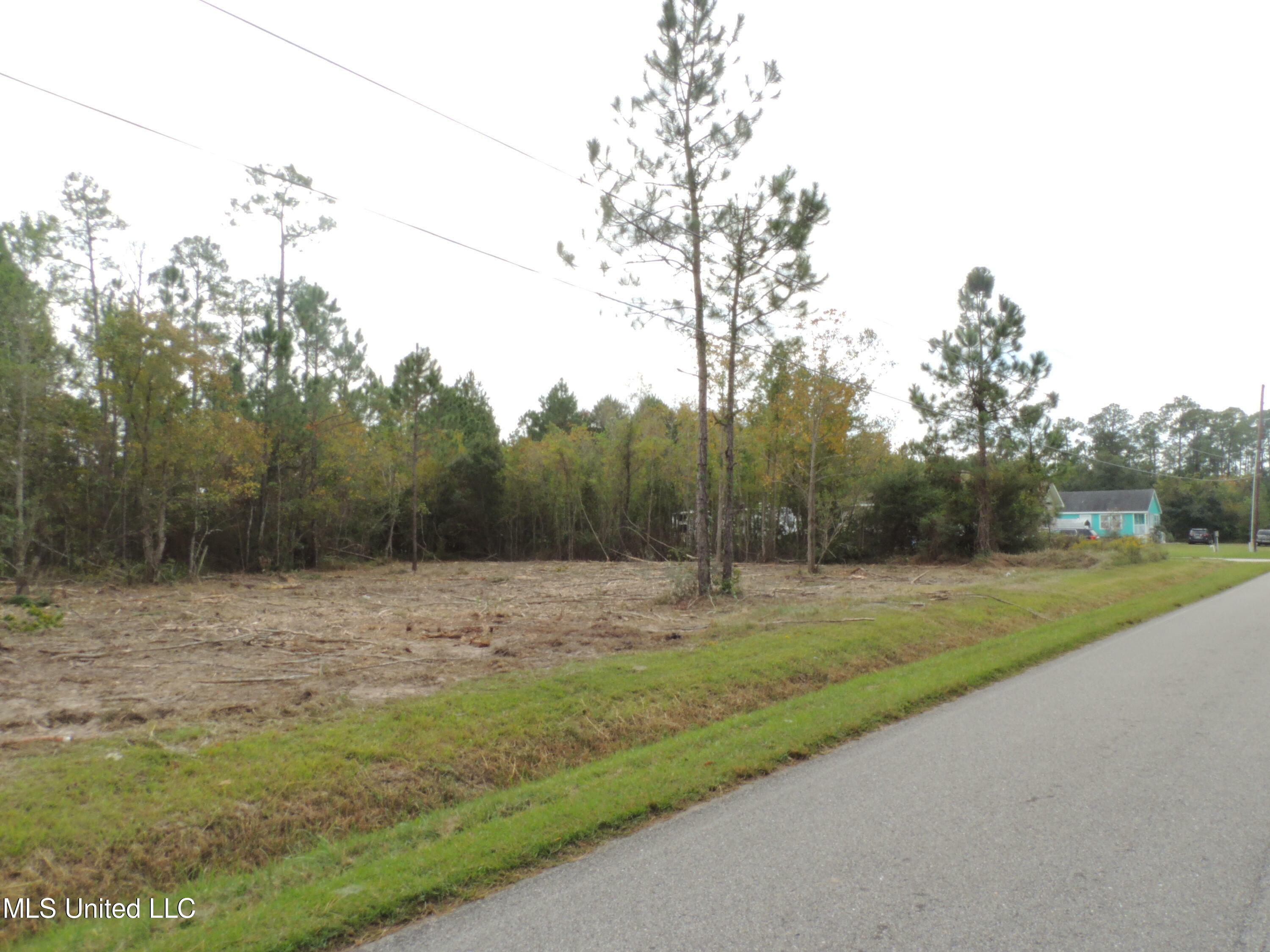 Property Photo:  0 Chapman Road  MS 39520 